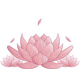 手绘风粉红色莲花
