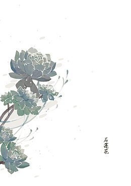 矢量石莲花