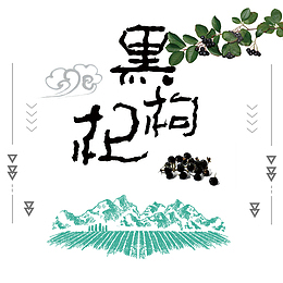 田园风黑枸杞卡通手绘装饰