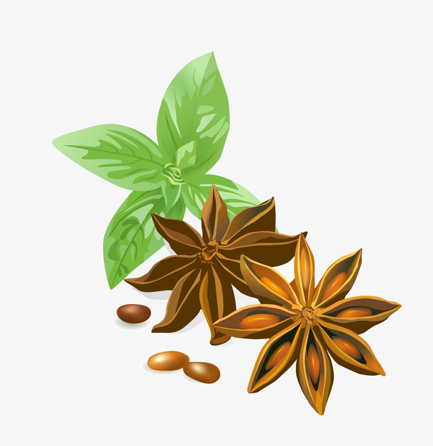 矢量食品调料香草料