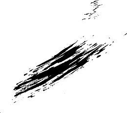 黑色斑斓花纹