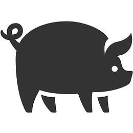 pig icon