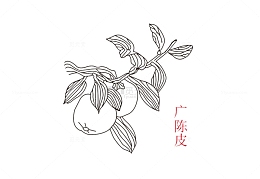 卡通手绘中草药素材