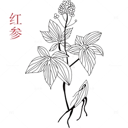 卡通手绘中草药素材
