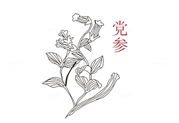 卡通手绘中草药素材