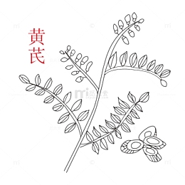 卡通手绘中草药素材