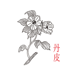 卡通手绘中草药素材