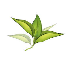 卡通手绘中草药素材