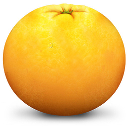 橙色水果Paradise-Fruit-Icon-Set
