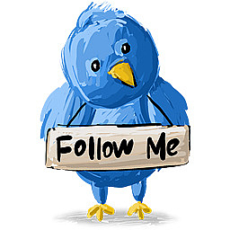 twitter follow me icon
