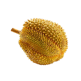 一个超大榴莲设计