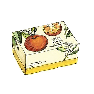 手绘水果盒