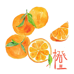 卡通手绘诱人的橙子