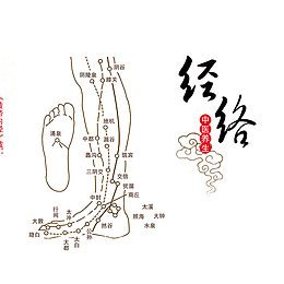人体经络图设计素材
