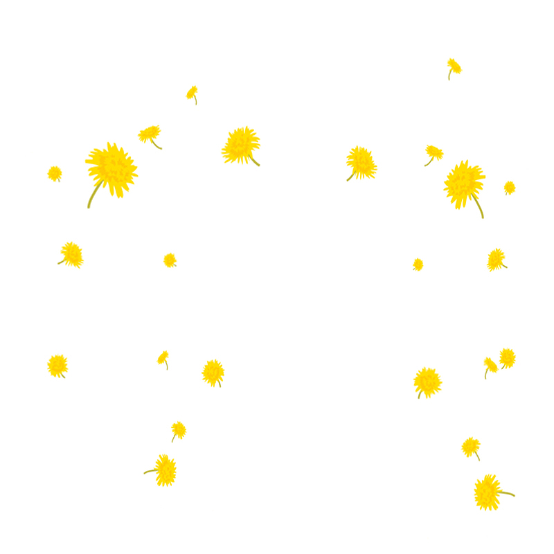 重阳节黄色菊花装饰免下载