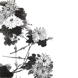 水墨菊花