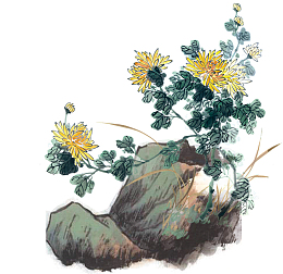 国画菊花