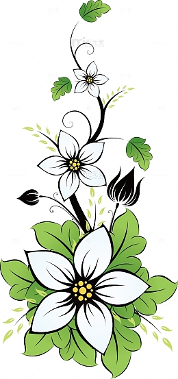 手绘百合花花边简笔百合花