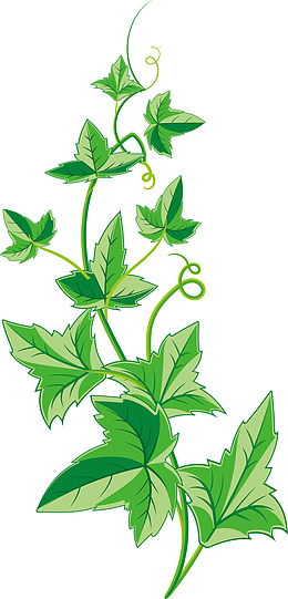 茂盛的矢量卡通风格藤蔓