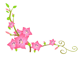 粉色喇叭花植株藤蔓