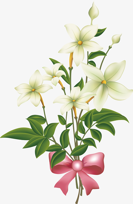 简笔百合花手绘百合花