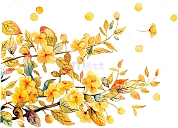 重阳节手绘水墨菊花