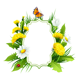 清新菊花边框矢量