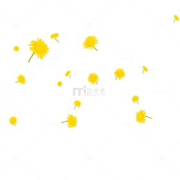 重阳节黄色菊花朵装饰背景免下载