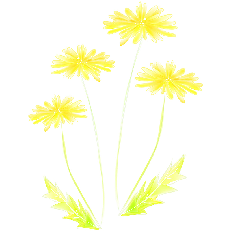 手绘水彩黄色菊花