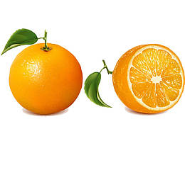 爱上美味