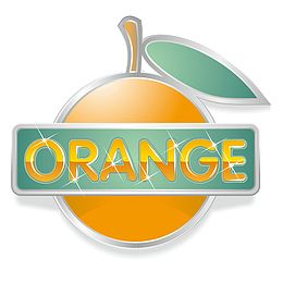 橘子图标适量图