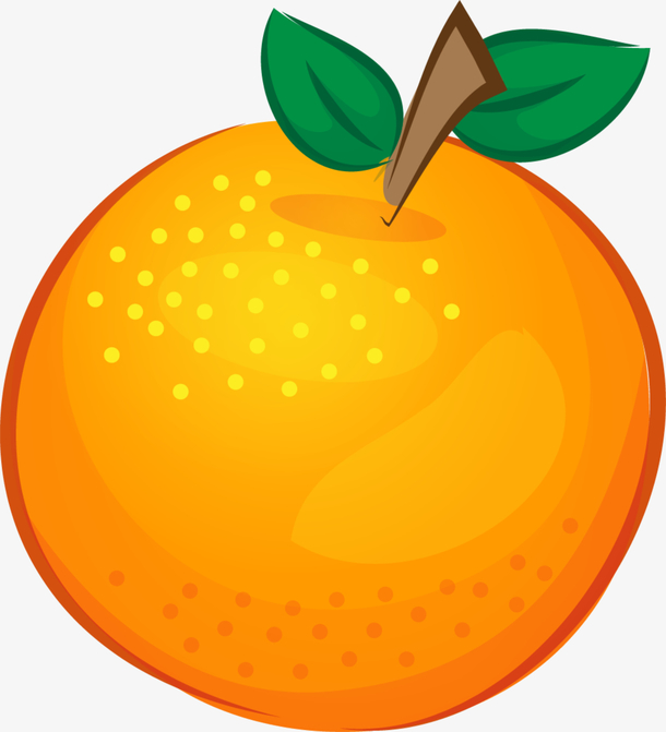 夏季手绘橙色橙子