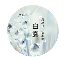 24节气白露展板