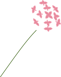 郁金香底纹郁金香背景