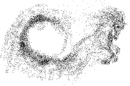 简约黑白马匹剪影