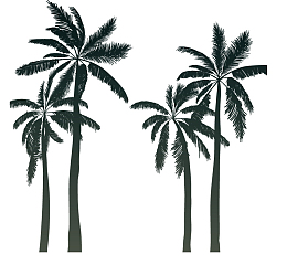 卡通椰树剪影夏日