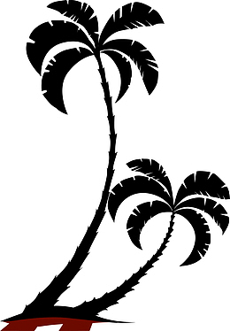 椰树剪影