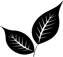 树叶