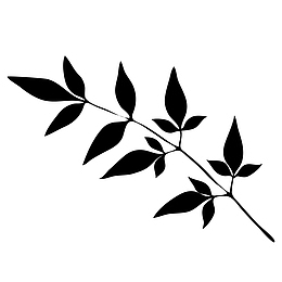 树叶