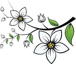 百合花图案百合花纹理