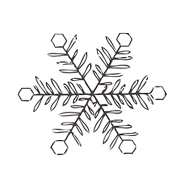雪花形状的树叶
