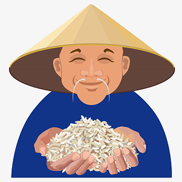 老农民手捧大米插画