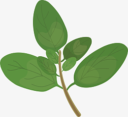 香叶火锅调味底料