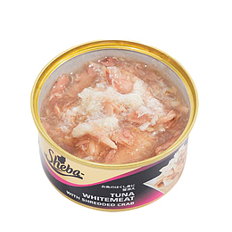 丰盛猫咪食用猫罐头