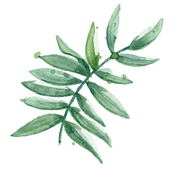 一片绿叶免扣矢量图