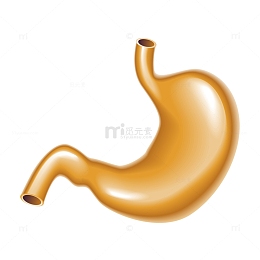 黄色圆弧肠胃元素