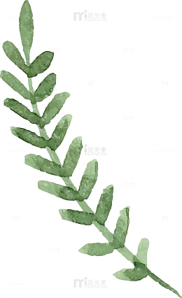 手绘水彩夏季植物叶子矢量素材