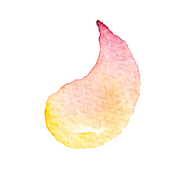 高清免抠手绘水彩花瓣素材