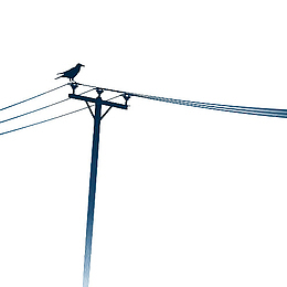 黑色渐变线条电线杆