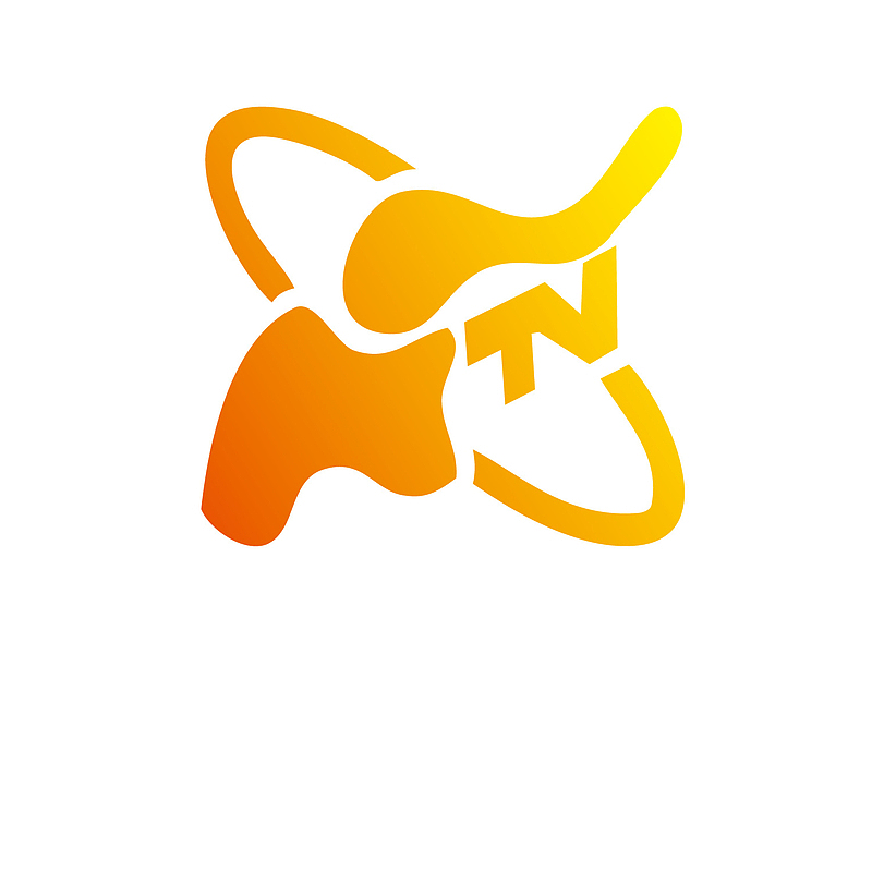 黄色河南卫视logo标志